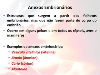 Anexos Embrionários
• Estruturas que surgem a partir dos folhetos
embrionários, mas que não fazem parte do corpo do
embrião.
• Ocorre em alguns peixes e em todos os répteis, aves e
mamíferos.
• Exemplos de anexos embrionários:
• Vesícula vitelínica (vitelina)
• Âmnio (âmnion)
• Cório (córion)
• Alantoide
 