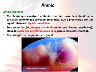 Âmnio
Âmnio (âmnion)
• Membrana que envolve o embrião como um saco, delimitando uma
cavidade denominada cavidade aminiótica, que é preenchida por um
líquido chamado líquido aminiótico.
• Tem como função proteger o embrião (amortece choques mecânicos),
além de evitar que o embrião perca água para o meio (dessecação).
• Manutenção da temperatura corporal.
 