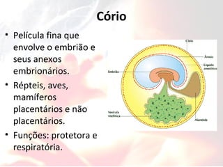 Cório
• Película fina que
envolve o embrião e
seus anexos
embrionários.
• Répteis, aves,
mamíferos
placentários e não
placentários.
• Funções: protetora e
respiratória.
 