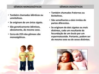 GÊMEOS MONOZIGÓTICOS GÊMEOS DIZIGÓTICOS
• Também chamados idênticos ou
univitelinos.
• Se originam de um único zigoto.
• São geneticamente idênticos,
obviamente, do mesmo sexo.
• Cerca de 25% dos gêmeos são
monozigóticos.
• Também chamados fraternos ou
bivitelinos.
• São semelhantes a dois irmãos de
partos diferentes.
• Se originam de dois zigotos ou mais
distintos, cada um resultante da
fecundação de um óvulo por um
espermatozoide. Portanto, podem ser
de mesmo sexo ou de sexos distintos.
 