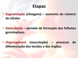Etapas
• Segmentação (clivagens) – aumento do número
de células.
• Gastrulação – período de formação dos folhetos
germinativos.
• Organogênese (neurulação) – processo de
diferenciação dos tecidos e dos órgãos.
 