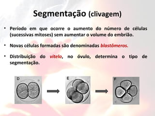 Segmentação (clivagem)
• Período em que ocorre o aumento do número de células
(sucessivas mitoses) sem aumentar o volume do embrião.
• Novas células formadas são denominadas blastômeros.
• Distribuição do vitelo, no óvulo, determina o tipo de
segmentação.
 
