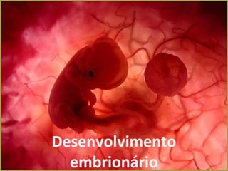 Desenvolvimento
embrionário
 