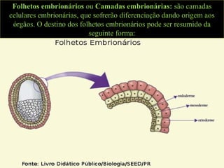 Folhetos embrionários ou Camadas embrionárias: são camadas
celulares embrionárias, que sofrerão diferenciação dando origem aos
órgãos. O destino dos folhetos embrionários pode ser resumido da
seguinte forma:
 