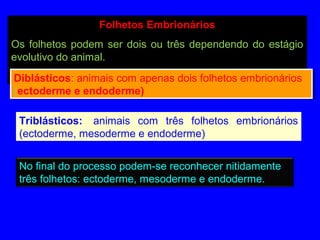 Folhetos Embrionários
Os folhetos podem ser dois ou três dependendo do estágio
evolutivo do animal.
Diblásticos: animais com apenas dois folhetos embrionários
(ectoderme e endoderme)
Diblásticos: animais com apenas dois folhetos embrionários
(ectoderme e endoderme)
Triblásticos: animais com três folhetos embrionários
(ectoderme, mesoderme e endoderme)
No final do processo podem-se reconhecer nitidamente
três folhetos: ectoderme, mesoderme e endoderme.
 