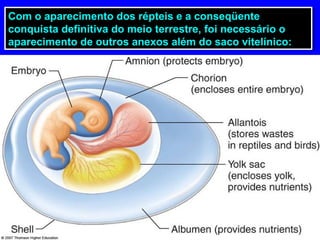 Com o aparecimento dos répteis e a conseqüente
conquista definitiva do meio terrestre, foi necessário o
aparecimento de outros anexos além do saco vitelínico:
Com o aparecimento dos répteis e a conseqüente
conquista definitiva do meio terrestre, foi necessário o
aparecimento de outros anexos além do saco vitelínico:
 