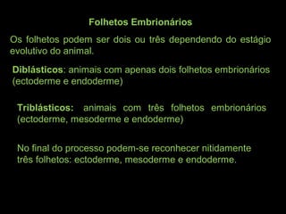 Folhetos Embrionários
Os folhetos podem ser dois ou três dependendo do estágio
evolutivo do animal.
Diblásticos: animais com apenas dois folhetos embrionários
(ectoderme e endoderme)
Triblásticos: animais com três folhetos embrionários
(ectoderme, mesoderme e endoderme)
No final do processo podem-se reconhecer nitidamente
três folhetos: ectoderme, mesoderme e endoderme.
 