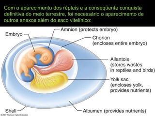 Com o aparecimento dos répteis e a conseqüente conquista
definitiva do meio terrestre, foi necessário o aparecimento de
outros anexos além do saco vitelínico:
 