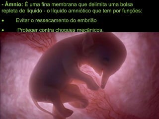 - Âmnio: É uma fina membrana que delimita uma bolsa
repleta de líquido - o líquido amniótico que tem por funções:
•         Evitar o ressecamento do embrião
•          Proteger contra choques mecânicos.
 