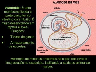 Alantóide: É uma
membrana ligada a
parte posterior do
intestino do embrião. É
muito desenvolvido em
répteis e aves.
Funções:
•         Trocas de gases
•         Armazenamento
de excretas.
* Absorção de minerais presentes na casca dos ovos e
incorporação no esqueleto, facilitando a saída do animal ao
nascer.
 