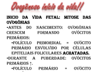 Inicio da vida fetal: Mitose das
ovogônias
•Antes do nascimento: Ovogônias
crescem
formando
ovócitos
primários:
•Folículo Primordial = ovócito
primário envolvido por células
epiteliais foliculares achatadas.
•Durante a puberdade: ovócitos
primários ↑.
•Folículo
Primário
=
ovócito

 