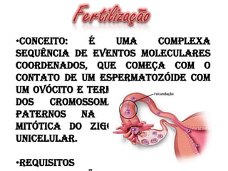•Conceito:
É
uma
complexa
sequência de eventos moleculares
coordenados, que começa com o
contato de um espermatozóide com
um ovócito e termina com a mistura
dos
cromossomas
maternos
e
paternos
na
primeira
divisão
mitótica do zigoto, um
embrião
unicelular.
•Requisitos

 