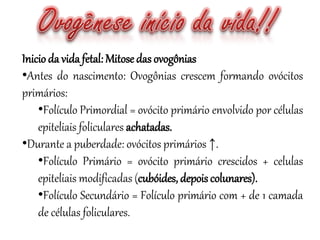Inicio da vida fetal: Mitosedas ovogônias
•Antes do nascimento: Ovogônias crescem formando ovócitos
primários:
•Folículo Primordial = ovócito primário envolvido por células
epiteliais foliculares achatadas.
•Durante a puberdade: ovócitos primários ↑.
•Folículo Primário = ovócito primário crescidos + celulas
epiteliais modificadas (cubóides, depois colunares).
•Folículo Secundário = Folículo primário com + de 1 camada
de células foliculares.
 