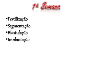 •Fertilização
•Segmentação
•Blastulação
•Implantação
 