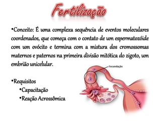 •Conceito: É uma complexa sequência de eventos moleculares
coordenados, que começa com o contato de um espermatozóide
com um ovócito e termina com a mistura dos cromossomas
maternos e paternos na primeira divisão mitótica do zigoto, um
embriãounicelular.
•Requisitos
•Capacitação
•ReaçãoAcrossômica
 