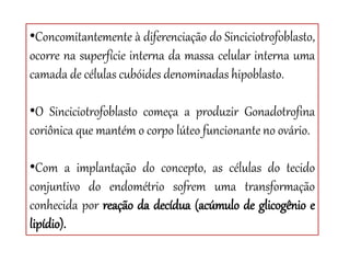•Concomitantemente à diferenciação do Sinciciotrofoblasto,
ocorre na superfície interna da massa celular interna uma
camada de células cubóides denominadas hipoblasto.
•O Sinciciotrofoblasto começa a produzir Gonadotrofina
coriônica que mantém o corpo lúteo funcionante no ovário.
•Com a implantação do concepto, as células do tecido
conjuntivo do endométrio sofrem uma transformação
conhecida por reação da decídua (acúmulo de glicogênio e
lipídio).
 