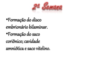 •Formação do disco
embrionário bilaminar.
•Formação do saco
coriônico; cavidade
amniótica e saco vitelino.
 