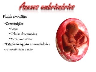 •Constituição:
•Água
•Células descamadas
•Mecônio e urina
•Estudodo líquido: anormalidades
cromossômicas e sexo.
Fluidoamniótico
 