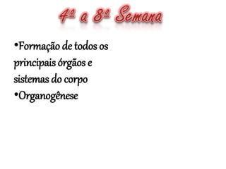 •Formação de todos os
principais órgãos e
sistemas do corpo
•Organogênese
 