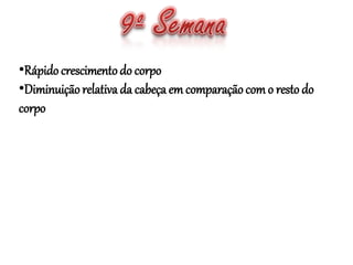 •Rápido crescimentodo corpo
•Diminuiçãorelativa da cabeça em comparaçãocomo restodo
corpo
 