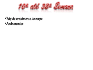 •Rápido crescimentodo corpo
•Acabamentos
 