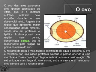 O ovo das aves apresenta
uma grande quantidade de
vitelo, que é o material
nutritivo utilizado pelo
embrião durante o seu
desenvolvimento. A gema é a
região que apresenta maior
concentração desse material,
sendo rica em proteínas e
lipídios. A clara possui uma
região mais densa,
denominada calaza, que é
responsável pela fixação da
gema no centro do ovo.
O ovo
O restante da clara é mais fluido e constituído de água e proteína. O ovo
é revestido por uma casca protetora calcária e porosa aderida a uma
membrana. Esse conjunto protege o embrião contra a desidratação. Na
extremidade mais larga do ovo existe, entre a casca e a membrana,
uma câmara para a reserva de ar.
 