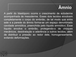 A partir do blastóporo ocorre o crescimento de ectoderme
acompanhada de mesoderme. Esses dois tecidos envolvem
completamente o corpo do embrião, de tal modo que entre
este e a parede do âmnio forma-se um espaço denominado
cavidade amniótica, preenchida pelo líquido amniótico. Esse
líquido envolve o embrião, protegendo-o de choques
mecânicos, desidratação e aderência a outros tecidos, além
de distribuir a pressão ao redor dele, homogeneamente,
evitando deformações.
Âmnio
 