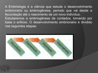 A Embriologia é a ciência que estuda o desenvolvimento
embrionário ou embriogênese, período que vai desde a
fecundação até o nascimento de um novo indivíduo.
Estudaremos a embriogênese de cordados, tomando por
base o anfioxo. O desenvolvimento embrionário é dividido
nas seguintes etapas:
 