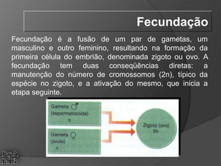 Fecundação
Fecundação é a fusão de um par de gametas, um
masculino e outro feminino, resultando na formação da
primeira célula do embrião, denominada zigoto ou ovo. A
fecundação tem duas conseqüências diretas: a
manutenção do número de cromossomos (2n), típico da
espécie no zigoto, e a ativação do mesmo, que inicia a
etapa seguinte.
 