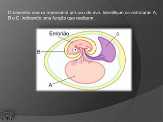 O desenho abaixo representa um ovo de ave. Identifique as estruturas A,
B e C, indicando uma função que realizam.
 