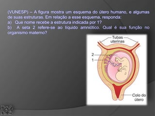 (VUNESP) – A figura mostra um esquema do útero humano, e algumas
de suas estruturas. Em relação a esse esquema, responda:
a) Que nome recebe a estrutura indicada por 1?
b) A seta 2 refere-se ao líquido amniótico. Qual é sua função no
organismo materno?
 