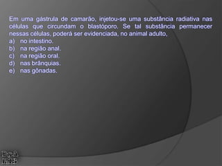 Em uma gástrula de camarão, injetou-se uma substância radiativa nas
células que circundam o blastóporo. Se tal substância permanecer
nessas células, poderá ser evidenciada, no animal adulto,
a) no intestino.
b) na região anal.
c) na região oral.
d) nas brânquias.
e) nas gônadas.
 