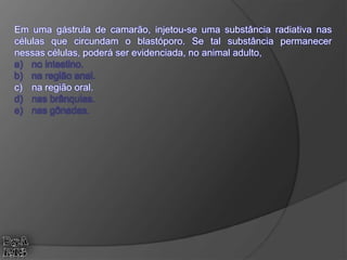 Em uma gástrula de camarão, injetou-se uma substância radiativa nas
células que circundam o blastóporo. Se tal substância permanecer
nessas células, poderá ser evidenciada, no animal adulto,
a) no intestino.
b) na região anal.
c) na região oral.
d) nas brânquias.
e) nas gônadas.
 