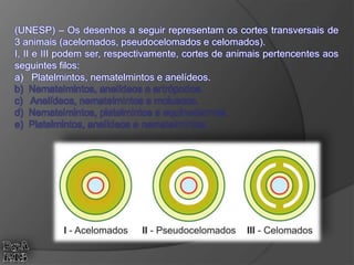 (UNESP) – Os desenhos a seguir representam os cortes transversais de
3 animais (acelomados, pseudocelomados e celomados).
I, II e III podem ser, respectivamente, cortes de animais pertencentes aos
seguintes filos:
a) Platelmintos, nematelmintos e anelídeos.
b) Nematelmintos, anelídeos e artrópodos.
c) Anelídeos, nematelmintos e moluscos.
d) Nematelmintos, platelmintos e equinodermos.
e) Platelmintos, anelídeos e nematelmintos.
 
