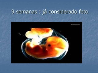 9 semanas : já considerado feto 
 