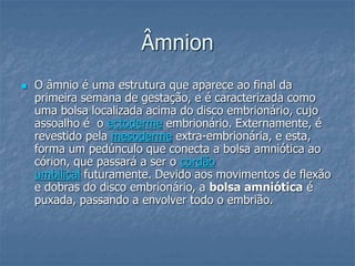 Âmnion 
 O âmnio é uma estrutura que aparece ao final da 
primeira semana de gestação, e é caracterizada como 
uma bolsa localizada acima do disco embrionário, cujo 
assoalho é o ectoderme embrionário. Externamente, é 
revestido pela mesoderme extra-embrionária, e esta, 
forma um pedúnculo que conecta a bolsa amniótica ao 
córion, que passará a ser o cordão 
umbilical futuramente. Devido aos movimentos de flexão 
e dobras do disco embrionário, a bolsa amniótica é 
puxada, passando a envolver todo o embrião. 
 