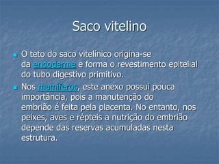 Saco vitelino 
 O teto do saco vitelínico origina-se 
da endoderme e forma o revestimento epitelial 
do tubo digestivo primitivo. 
 Nos mamíferos, este anexo possui pouca 
importância, pois a manutenção do 
embrião é feita pela placenta. No entanto, nos 
peixes, aves e répteis a nutrição do embrião 
depende das reservas acumuladas nesta 
estrutura. 
 