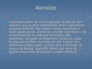 Alantóide 
 É formado a partir de uma evaginação do teto do saco 
vitelínico, que se situa ventralmente após o dobramento 
caudal do embrião. Nos répteis e aves, esse anexo é 
muito desenvolvido, exercendo a função respiratória e de 
armazenamento de materiais excretados. Nos 
mamíferos, nos quais se desenvolve a placenta, essas 
funções são também exercidas por ela. A parte intra-embrionária 
deste anexo contribui para a formação do 
úraco e da bexiga; ligamento fibroso que serve de 
ligação entre o teto da bexiga e a região umbilical. 
 