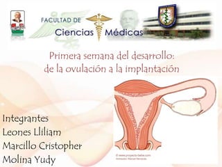 Primera semana del desarrollo:
de la ovulación a la implantación
Integrantes
Leones Lliliam
Marcillo Cristopher
Molina Yudy
 