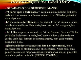 DIFERENÇAS NA GRAVIDEZ
: SEPARAÇÃO DOS GÊMEOS HUMANOS
72 horas após a fertilização = resultam dois embriões distintos,
cada um com seu cório e âmnio. Acontece em 30% das gestações
monozigóticas.
4-8 dias após a fertilização, = formação de um só cório mas duas
cavidades amnióticas. Esta variação ocorre em 2/3 das gestações
monozigóticas.
8-13 dias = apenas um âmnio e cório se formam. Certa de 2% das
gestações incluem essa variação.O saco vitelino, o alantóide e o
cordão umbilical formam-se separadamente, com cada embrião
possuindo o seu.
gêmeos idênticos originados na fase de segmentação, onde
precocemente os blastômeros (2-8) se separam. Neste caso, cada
gêmeo possui seus próprios anexos embrionários, mas as placentas
de ambos podem de fundir. (MENOS COMUM)
3939
 