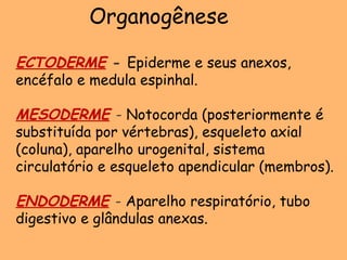 Organogênese
ECTODERME - Epiderme e seus anexos,
encéfalo e medula espinhal.
MESODERME - Notocorda (posteriormente é
substituída por vértebras), esqueleto axial
(coluna), aparelho urogenital, sistema
circulatório e esqueleto apendicular (membros).
ENDODERME - Aparelho respiratório, tubo
digestivo e glândulas anexas.
 
