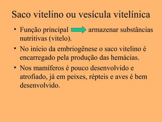 Saco vitelino ou vesícula vitelínica
• Função principal armazenar substâncias
nutritivas (vitelo).
• No início da embriogênese o saco vitelino é
encarregado pela produção das hemácias.
• Nos mamíferos é pouco desenvolvido e
atrofiado, já em peixes, répteis e aves é bem
desenvolvido.
 
