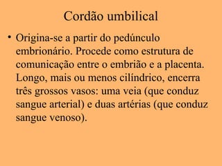 Cordão umbilical
• Origina-se a partir do pedúnculo
embrionário. Procede como estrutura de
comunicação entre o embrião e a placenta.
Longo, mais ou menos cilíndrico, encerra
três grossos vasos: uma veia (que conduz
sangue arterial) e duas artérias (que conduz
sangue venoso).
 