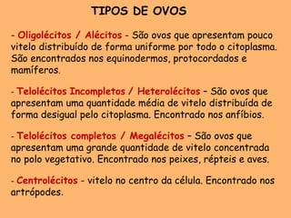 TIPOS DE OVOS
- Oligolécitos / Alécitos - São ovos que apresentam pouco
vitelo distribuído de forma uniforme por todo o citoplasma.
São encontrados nos equinodermos, protocordados e
mamíferos.
- Telolécitos Incompletos / Heterolécitos – São ovos que
apresentam uma quantidade média de vitelo distribuída de
forma desigual pelo citoplasma. Encontrado nos anfíbios.
- Telolécitos completos / Megalécitos – São ovos que
apresentam uma grande quantidade de vitelo concentrada
no polo vegetativo. Encontrado nos peixes, répteis e aves.
-- Centrolécitos - vitelo no centro da célula. Encontrado nos
artrópodes.
 
