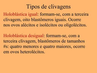 Tipos de clivagens
Holoblástica igual: formam-se, com a terceira
clivagem, oito blastômeros iguais. Ocorre
nos ovos alécitos e isolécitos ou oligolécitos.
Holoblástica desigual: formam-se, com a
terceira clivagem, blastômeros de tamanhos
#s: quatro menores e quatro maiores, ocorre
em ovos heterolécitos.
 