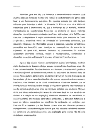Embriologia Andreutt Tabosa.
2015 7
Fimose: quando a glande não consegue ser exposta devido ao estreitamento do
prepúcio.
Circuncisão ou postectomia: procedimento cirúrgico para a correção da fimose.
No pênis em repouso a quantidade de sangue que entra e sai é a mesma. A
ereção inunda os corpos cavernosos e esponjoso com sangue, tornando o pênis rijo,
com aumento do tamanho. É comum ereções noturnas durante o sono REM
(sonhos), fundamentais para preservar os corpos cavernosos e o mecanismo da
ereção que é a oxigenação do pênis. A polução noturna é a ejaculação durante o
sono, frequentemente relacionada com um sonho erótico, mais comum na
puberdade até os 20 anos.
Vias Espermáticas
• Epidídimos: dois tubos enovelados que partem dos testículos. Armazenam os
espermatozóides.
• Ductos deferentes: dois tubos que partem dos epidídimos circundam a bexiga e
unem-se ao ducto ejaculatório, onde desembocam as vesículas seminais.
• Uretra: canal destinado à saída de urina e de esperma. Os músculos na entrada
da bexiga se contraem durante a ereção para que nenhuma urina entre no
sêmen e nenhum sêmen entre na bexiga.
Glândulas Anexas
Próstata: glândula localizada abaixo da bexiga, secreta substâncias alcalinas que
neutralizam a acidez da urina e ativa os espermatozóides.
Vesículas seminais: responsáveis pela produção de um líquido que age como fonte
de energia para os espermatozóides, constituído por frutose.
Glândulas bulbouretrais ou de Cowper: secreção transparente lançada dentro da
uretra para limpá-la e preparar a passagem dos espermatozóides. Também lubrifica
o pênis durante o ato sexual.
 