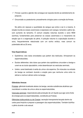 Embriologia Andreutt Tabosa.
2015 7
Fimose: quando a glande não consegue ser exposta devido ao estreitamento do
prepúcio.
Circuncisão ou postectomia: procedimento cirúrgico para a correção da fimose.
No pênis em repouso a quantidade de sangue que entra e sai é a mesma. A
ereção inunda os corpos cavernosos e esponjoso com sangue, tornando o pênis rijo,
com aumento do tamanho. É comum ereções noturnas durante o sono REM
(sonhos), fundamentais para preservar os corpos cavernosos e o mecanismo da
ereção que é a oxigenação do pênis. A polução noturna é a ejaculação durante o
sono, frequentemente relacionada com um sonho erótico, mais comum na
puberdade até os 20 anos.
Vias Espermáticas
• Epidídimos: dois tubos enovelados que partem dos testículos. Armazenam os
espermatozóides.
• Ductos deferentes: dois tubos que partem dos epidídimos circundam a bexiga e
unem-se ao ducto ejaculatório, onde desembocam as vesículas seminais.
• Uretra: canal destinado à saída de urina e de esperma. Os músculos na entrada
da bexiga se contraem durante a ereção para que nenhuma urina entre no
sêmen e nenhum sêmen entre na bexiga.
Glândulas Anexas
Próstata: glândula localizada abaixo da bexiga, secreta substâncias alcalinas que
neutralizam a acidez da urina e ativa os espermatozóides.
Vesículas seminais: responsáveis pela produção de um líquido que age como fonte
de energia para os espermatozóides, constituído por frutose.
Glândulas bulbouretrais ou de Cowper: secreção transparente lançada dentro da
uretra para limpá-la e preparar a passagem dos espermatozóides. Também lubrifica
o pênis durante o ato sexual.
 