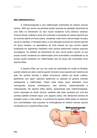 Embriologia Andreutt Tabosa.
2015 8
MIELOMENINGOCELE
A mielomeningocele é uma malformação embrionária do sistema nervoso
central - SNC que ocorre nas primeiras quatro semanas de gestação decorrente de
uma falha no fechamento do tubo neural resultando numa abertura vertebral,
músculo fascial, cutânea e dural com protrusão e exposição da medula espinhal que
se encontra aberta em forma plana, recebendo neste local a denominação de placa
neural ou placódio. O resultado disso, é uma alteração funcional da medula espinhal
em graus variados, na dependência do nível medular em que ocorrem lesões
localizadas em segmentos medulares mais craniais determinam maiores prejuízos
neurológicos. Os defeitos de fechamento do tubo neural podem ocorrer na sua
porção cranial, resultando em malformações como anencefalia e encefalocele ou na
porção caudal resultando em malformações que em grupo são conhecidas como
espinha bífida.
A espinha bífida, por sua vez, pode ser subdividida em oculta ou fechada,
quando coberta por pele e aberta quando há tecido neural exposto sem cobertura da
pele. Na variante fechada o defeito encontra-se coberto por tecido cutâneo,
geralmente com algum apêndice epidérmico ou depósito de gordura anômalo
sobrejacente à malformação. Fazem parte desse grupo alterações como
meningocele, lipomas lombossacros, seio dérmico, diastematomielia e
mielocistocele. Na espinha bífida aberta, representada pela mielomeningocele,
ocorre exposição do tecido nervoso, podendo este estar recoberto por uma fina
camada epitelial contendo líquor, com aspecto cístico, não oferecendo barreira de
proteção contra o meio externo. A ocorrência de espinha bífida aberta se relaciona
com anormalidades mais precoces na embriogênese do sistema nervoso quando
comparado com a espinha bífida oculta.
 