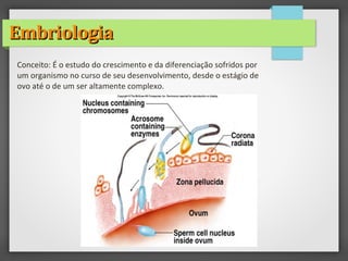 EmbriologiaEmbriologia
Conceito: É o estudo do crescimento e da diferenciação sofridos por
um organismo no curso de seu desenvolvimento, desde o estágio de
ovo até o de um ser altamente complexo.
 