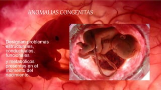 ANOMALIAS CONGENITAS
Designan problemas
estructurales,
conductuales,
funcionales
y metabólicos
presentes en el
momento del
nacimiento.
 